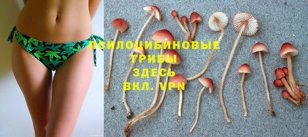 СК Кукмор