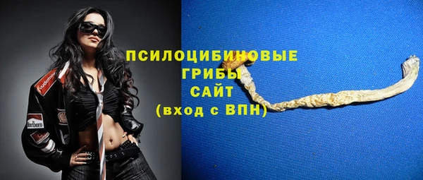 герыч Куйбышев