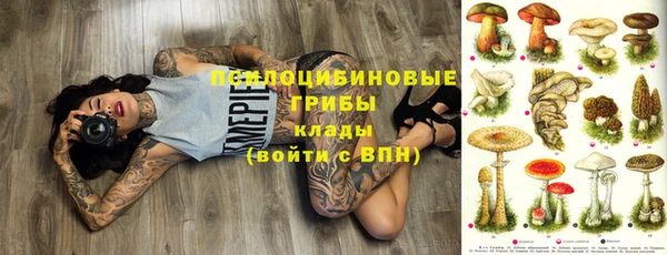 СК Кукмор