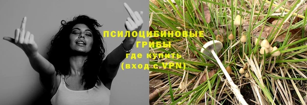 СК Кукмор