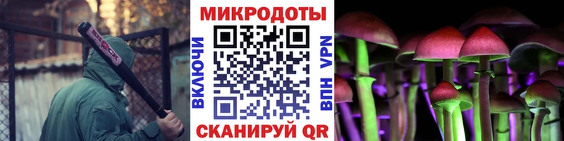 Галлюциногенные грибы Cubensis  Купить где  Гулькевичи 