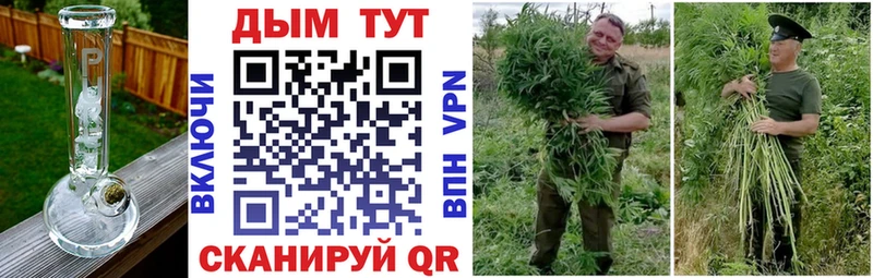 Бошки Шишки White Widow  Купить  Гулькевичи 